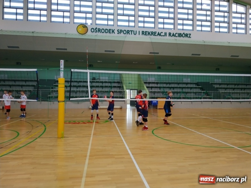 Zdjęcie w galerii na portalu naszraciborz.pl: Siatkarski maraton w Arenie Rafako. Ekipa z Kędzierzyna-Koźla triumfuje  wiadomości z regionu