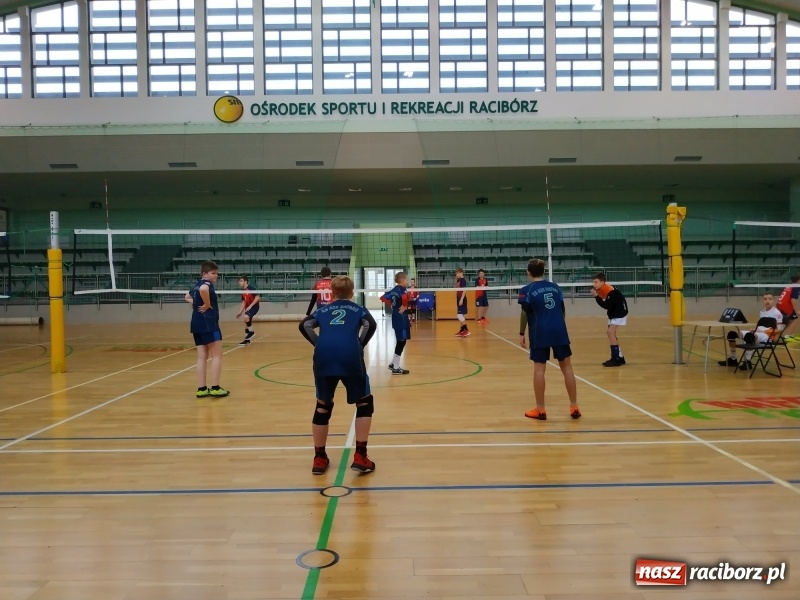 Zdjęcie w galerii na portalu naszraciborz.pl: Siatkarski maraton w Arenie Rafako. Ekipa z Kędzierzyna-Koźla triumfuje  wiadomości z regionu