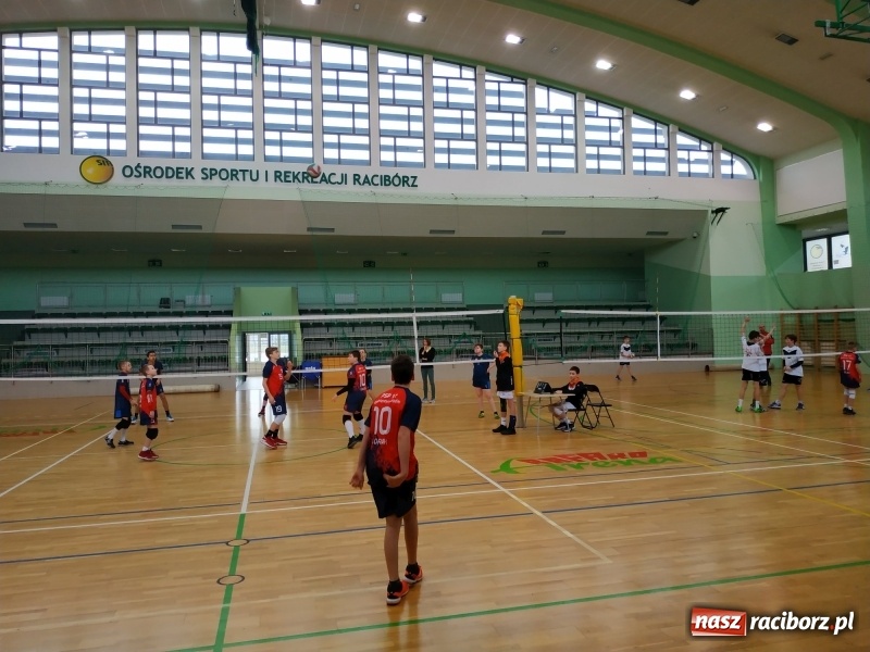 Zdjęcie w galerii na portalu naszraciborz.pl: Siatkarski maraton w Arenie Rafako. Ekipa z Kędzierzyna-Koźla triumfuje  wiadomości z regionu