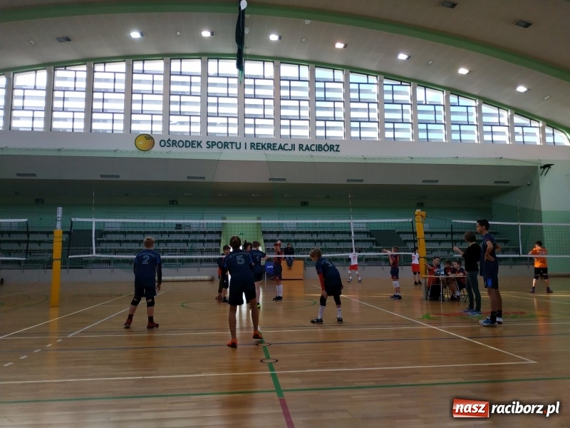 Zdjęcie w galerii na portalu naszraciborz.pl: Siatkarski maraton w Arenie Rafako. Ekipa z Kędzierzyna-Koźla triumfuje  wiadomości z regionu