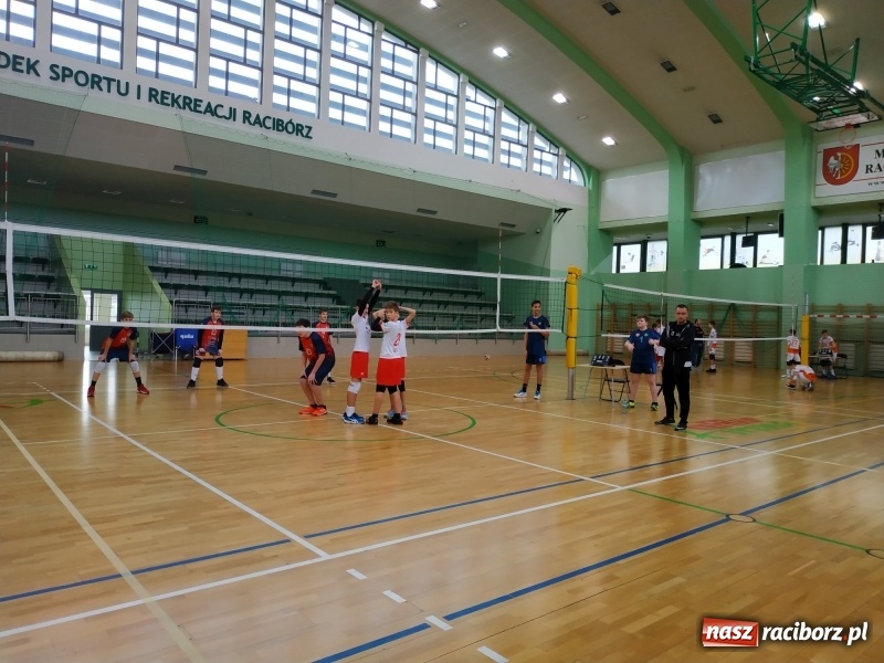 Zdjęcie w galerii na portalu naszraciborz.pl: Siatkarski maraton w Arenie Rafako. Ekipa z Kędzierzyna-Koźla triumfuje  wiadomości z regionu