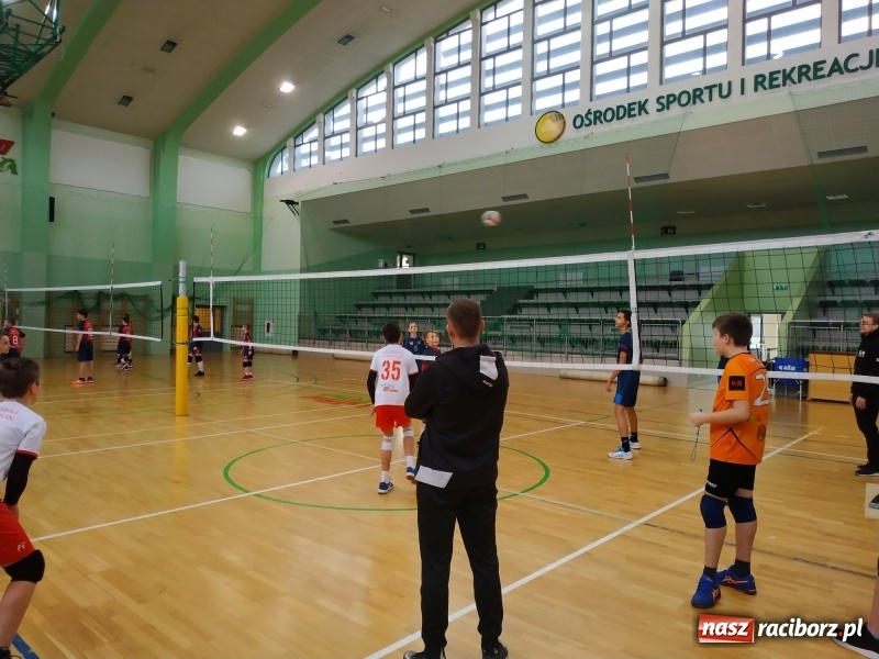 Zdjęcie w galerii na portalu naszraciborz.pl: Siatkarski maraton w Arenie Rafako. Ekipa z Kędzierzyna-Koźla triumfuje  wiadomości z regionu