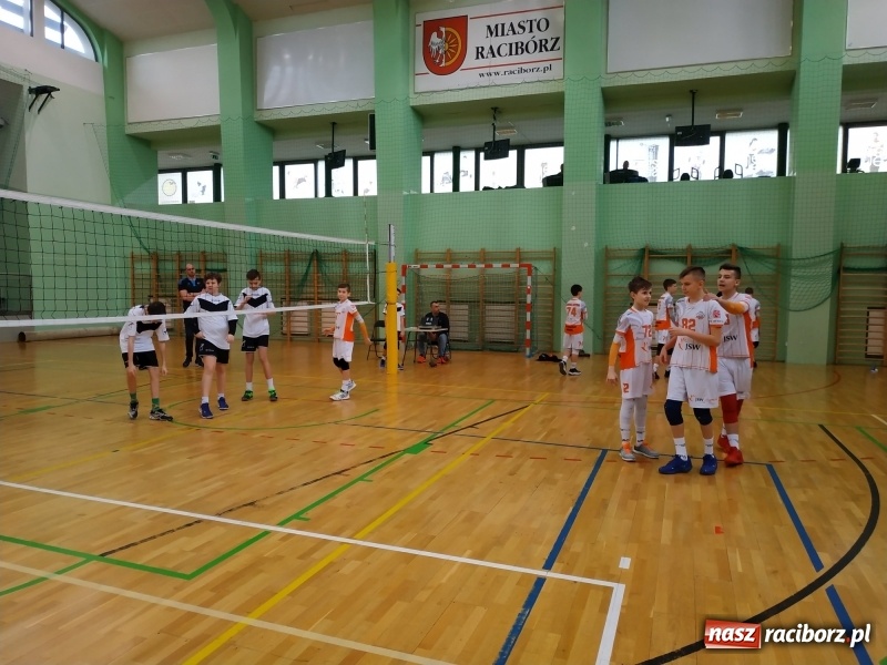 Zdjęcie w galerii na portalu naszraciborz.pl: Siatkarski maraton w Arenie Rafako. Ekipa z Kędzierzyna-Koźla triumfuje  wiadomości z regionu
