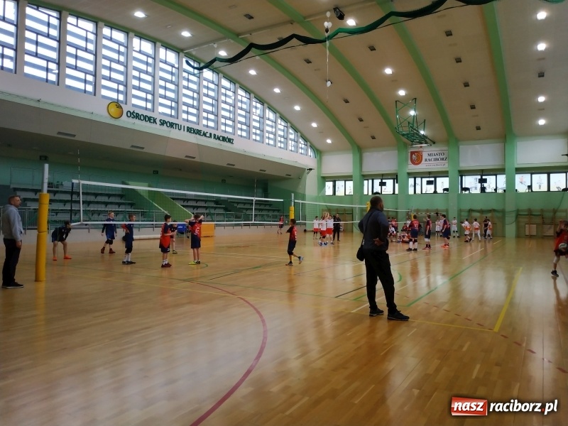 Zdjęcie w galerii na portalu naszraciborz.pl: Siatkarski maraton w Arenie Rafako. Ekipa z Kędzierzyna-Koźla triumfuje  wiadomości z regionu