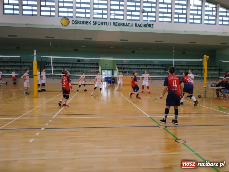 Zdjęcie w galerii na portalu naszraciborz.pl: Siatkarski maraton w Arenie Rafako. Ekipa z Kędzierzyna-Koźla triumfuje  wiadomości z regionu