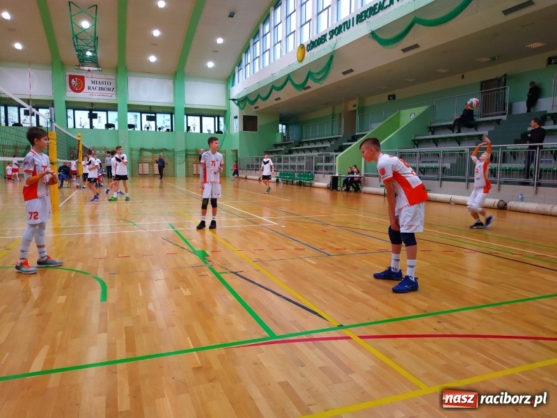 Zdjęcie w galerii na portalu naszraciborz.pl: Siatkarski maraton w Arenie Rafako. Ekipa z Kędzierzyna-Koźla triumfuje  wiadomości z regionu