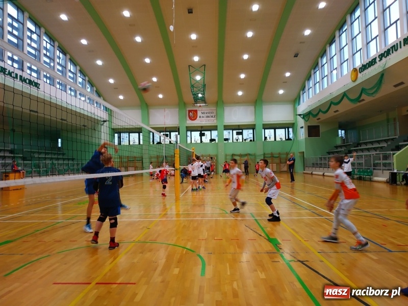 Zdjęcie w galerii na portalu naszraciborz.pl: Siatkarski maraton w Arenie Rafako. Ekipa z Kędzierzyna-Koźla triumfuje  wiadomości z regionu