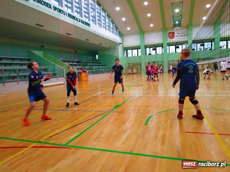 Zdjęcie w galerii na portalu naszraciborz.pl: Siatkarski maraton w Arenie Rafako. Ekipa z Kędzierzyna-Koźla triumfuje  wiadomości z regionu
