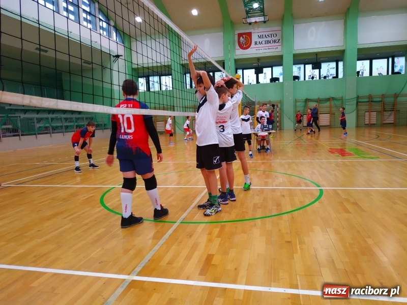 Zdjęcie w galerii na portalu naszraciborz.pl: Siatkarski maraton w Arenie Rafako. Ekipa z Kędzierzyna-Koźla triumfuje  wiadomości z regionu