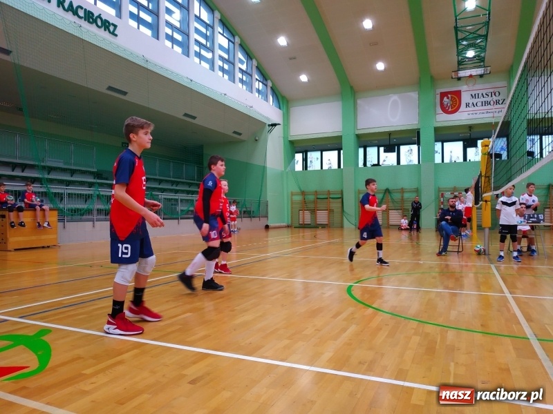 Zdjęcie w galerii na portalu naszraciborz.pl: Siatkarski maraton w Arenie Rafako. Ekipa z Kędzierzyna-Koźla triumfuje  wiadomości z regionu