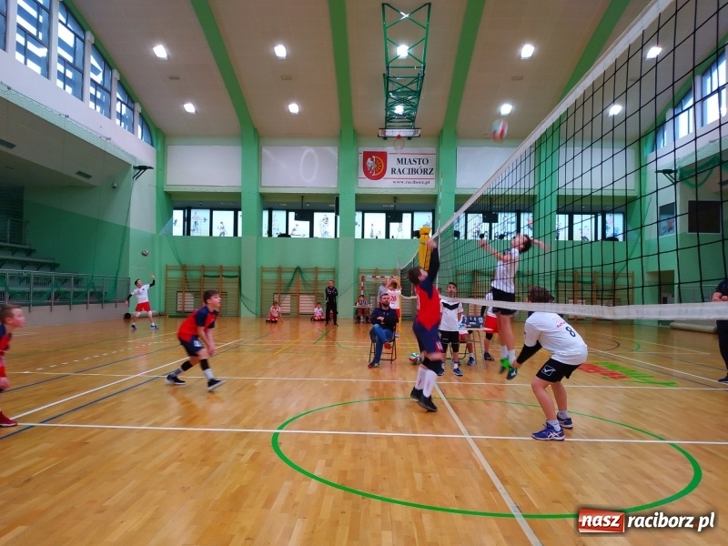 Zdjęcie w galerii na portalu naszraciborz.pl: Siatkarski maraton w Arenie Rafako. Ekipa z Kędzierzyna-Koźla triumfuje  wiadomości z regionu