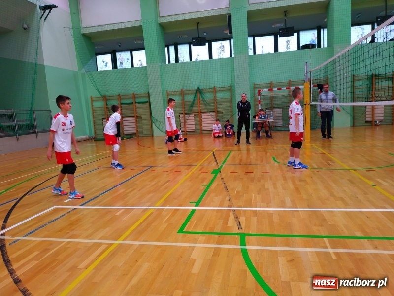 Zdjęcie w galerii na portalu naszraciborz.pl: Siatkarski maraton w Arenie Rafako. Ekipa z Kędzierzyna-Koźla triumfuje  wiadomości z regionu