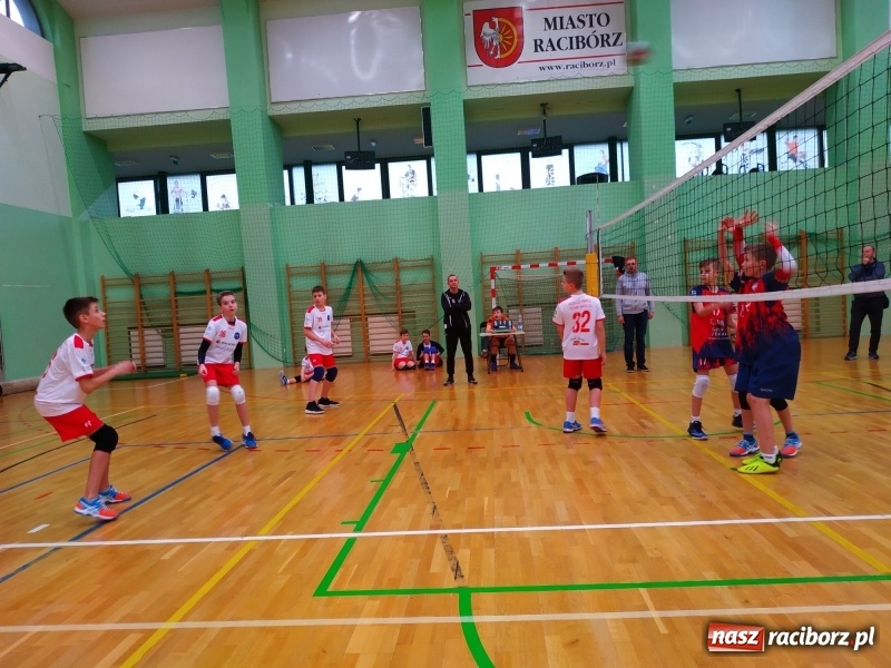 Zdjęcie w galerii na portalu naszraciborz.pl: Siatkarski maraton w Arenie Rafako. Ekipa z Kędzierzyna-Koźla triumfuje  wiadomości z regionu