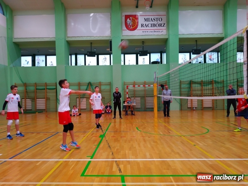 Zdjęcie w galerii na portalu naszraciborz.pl: Siatkarski maraton w Arenie Rafako. Ekipa z Kędzierzyna-Koźla triumfuje  wiadomości z regionu