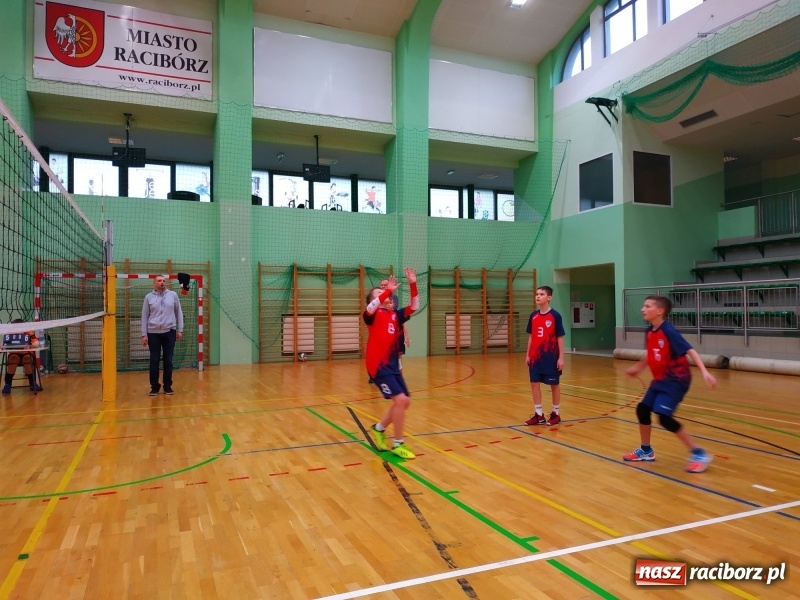Zdjęcie w galerii na portalu naszraciborz.pl: Siatkarski maraton w Arenie Rafako. Ekipa z Kędzierzyna-Koźla triumfuje  wiadomości z regionu