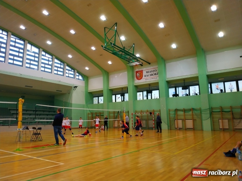 Zdjęcie w galerii na portalu naszraciborz.pl: Siatkarski maraton w Arenie Rafako. Ekipa z Kędzierzyna-Koźla triumfuje  wiadomości z regionu