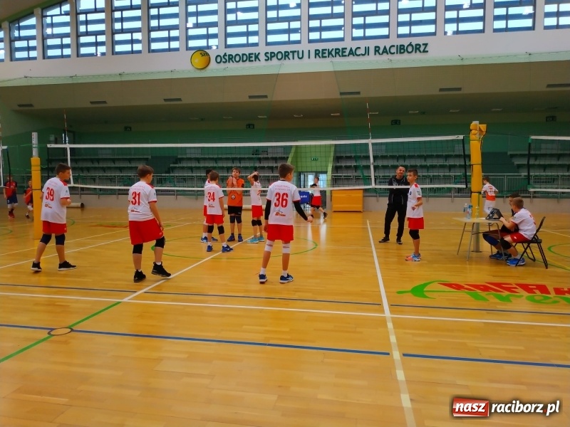 Zdjęcie w galerii na portalu naszraciborz.pl: Siatkarski maraton w Arenie Rafako. Ekipa z Kędzierzyna-Koźla triumfuje  wiadomości z regionu