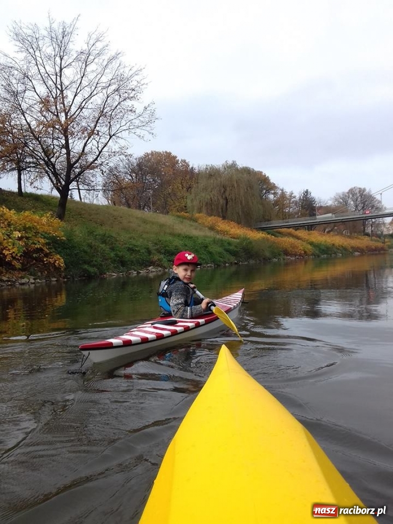 Zdjęcie w galerii na portalu naszraciborz.pl: Na stawie w parku Roth znów pojawią się kajaki  wiadomości z regionu