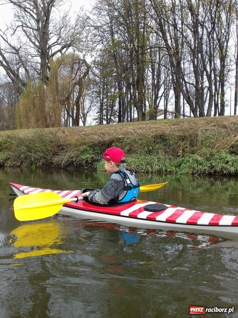 Zdjęcie w galerii na portalu naszraciborz.pl: Na stawie w parku Roth znów pojawią się kajaki  wiadomości z regionu