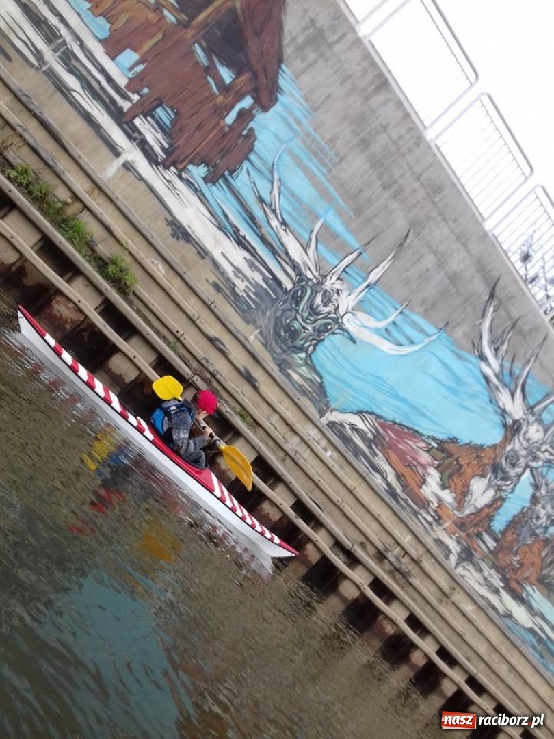 Zdjęcie w galerii na portalu naszraciborz.pl: Na stawie w parku Roth znów pojawią się kajaki  wiadomości z regionu