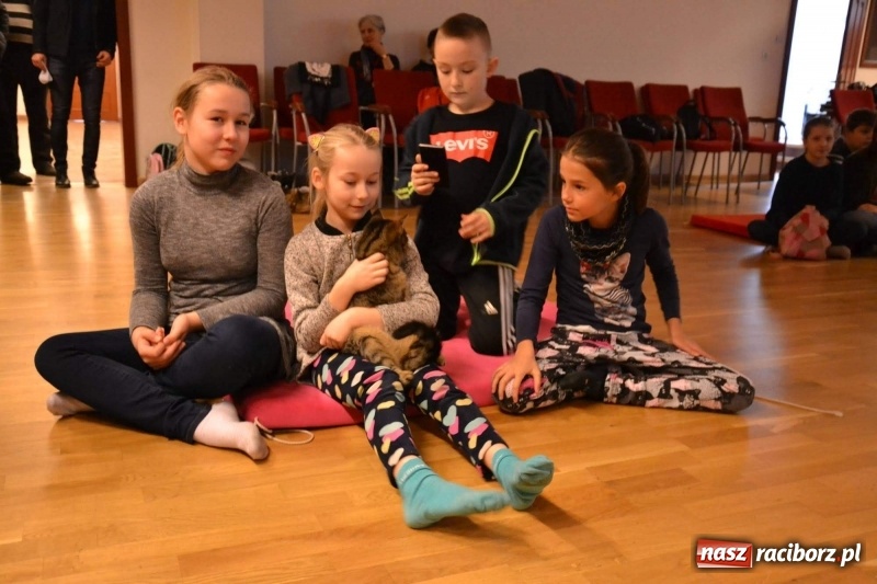 Zdjęcie w galerii na portalu naszraciborz.pl: Ferie zimowe na Zamku Piastowskim. Dziś obchodzono Dzień Kota wiadomości z regionu