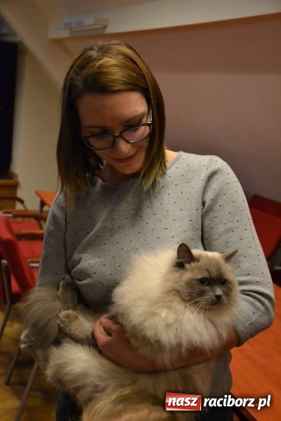 Zdjęcie w galerii na portalu naszraciborz.pl: Ferie zimowe na Zamku Piastowskim. Dziś obchodzono Dzień Kota wiadomości z regionu