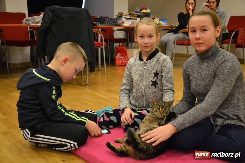 Zdjęcie w galerii na portalu naszraciborz.pl: Ferie zimowe na Zamku Piastowskim. Dziś obchodzono Dzień Kota wiadomości z regionu