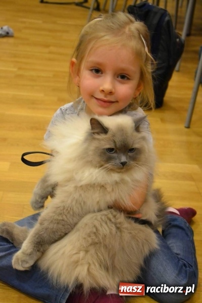 Zdjęcie w galerii na portalu naszraciborz.pl: Ferie zimowe na Zamku Piastowskim. Dziś obchodzono Dzień Kota wiadomości z regionu