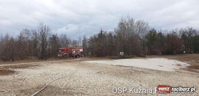Zdjęcie w galerii na portalu naszraciborz.pl: Rozpoczął się sezon na… wypalanie traw wiadomości z regionu