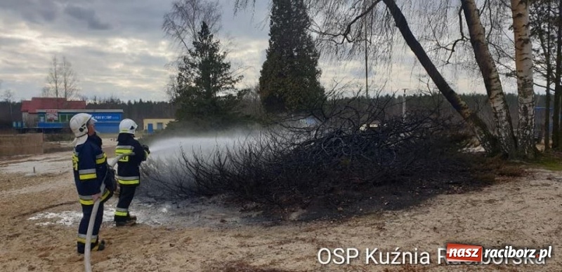 Zdjęcie w galerii na portalu naszraciborz.pl: Rozpoczął się sezon na… wypalanie traw wiadomości z regionu
