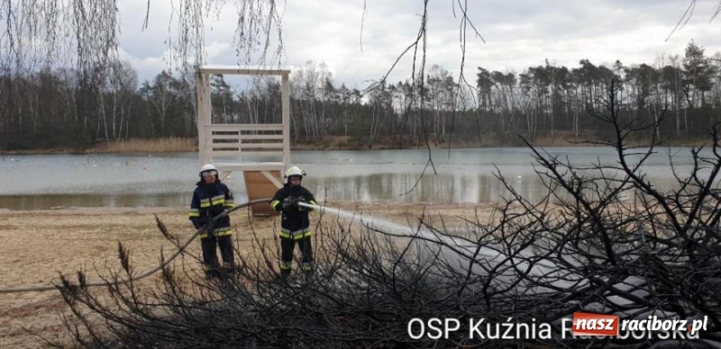 Zdjęcie w galerii na portalu naszraciborz.pl: Rozpoczął się sezon na… wypalanie traw wiadomości z regionu
