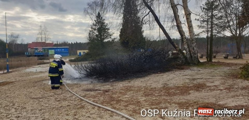 Zdjęcie w galerii na portalu naszraciborz.pl: Rozpoczął się sezon na… wypalanie traw wiadomości z regionu