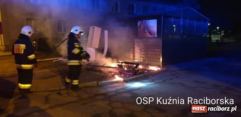 Zdjęcie w galerii na portalu naszraciborz.pl: Rozpoczął się sezon na… wypalanie traw wiadomości z regionu