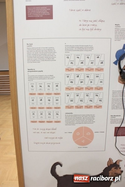 Zdjęcie w galerii na portalu naszraciborz.pl: Chlebowa chata i Przytulia. Dzień pełen wrażeń w Brennej wiadomości z regionu