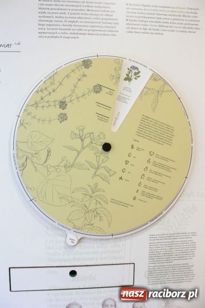 Zdjęcie w galerii na portalu naszraciborz.pl: Chlebowa chata i Przytulia. Dzień pełen wrażeń w Brennej wiadomości z regionu