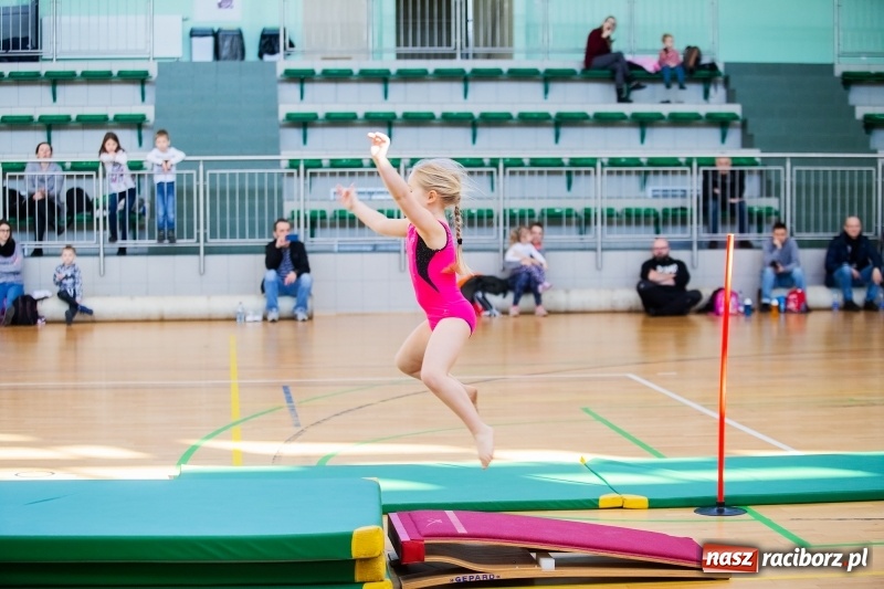 Zdjęcie w galerii na portalu naszraciborz.pl: Maraton Akrobatyczny w Arenie Rafako wiadomości z regionu