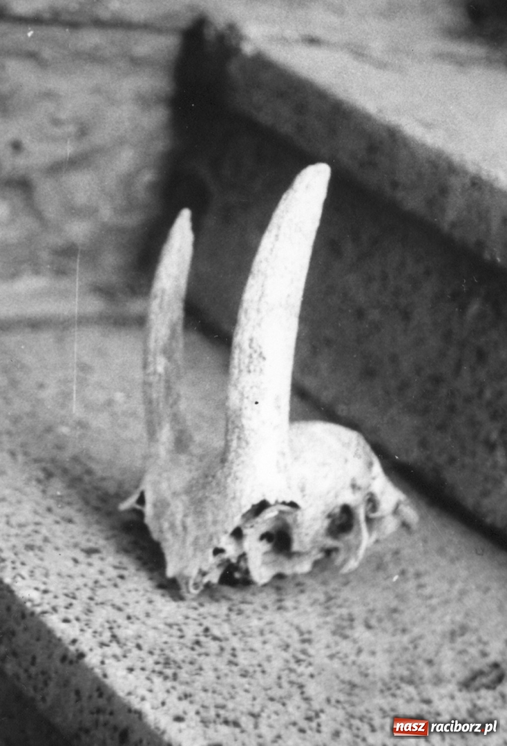 Zdjęcie w galerii na portalu naszraciborz.pl: Ksiądz, który uratował historię wsi, krytykował faszyzm i nie znosił proboszcza  wiadomości z regionu