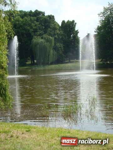 Zdjęcie w galerii na portalu naszraciborz.pl: Niech tu ktoś posprząta! wiadomości z regionu
