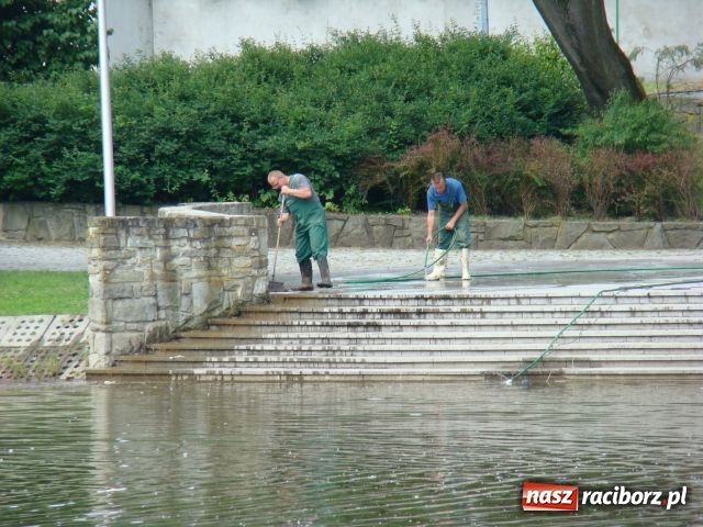 Zdjęcie w galerii na portalu naszraciborz.pl: Niech tu ktoś posprząta! wiadomości z regionu