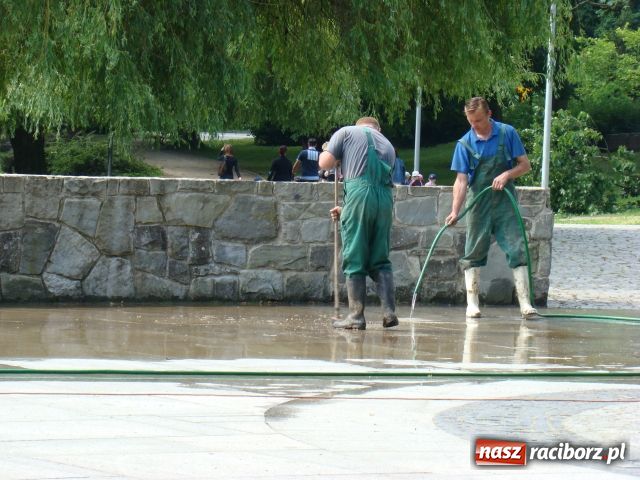 Zdjęcie w galerii na portalu naszraciborz.pl: Niech tu ktoś posprząta! wiadomości z regionu