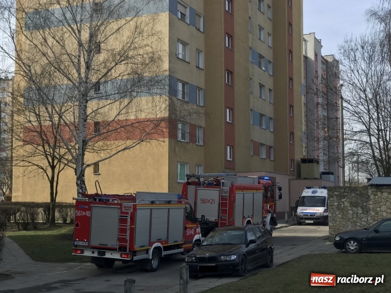 Zdjęcie w galerii na portalu naszraciborz.pl: Śmigłowiec LPR lądował dziś na ul. Czarnieckiego FOTO i WIDEO wiadomości z regionu