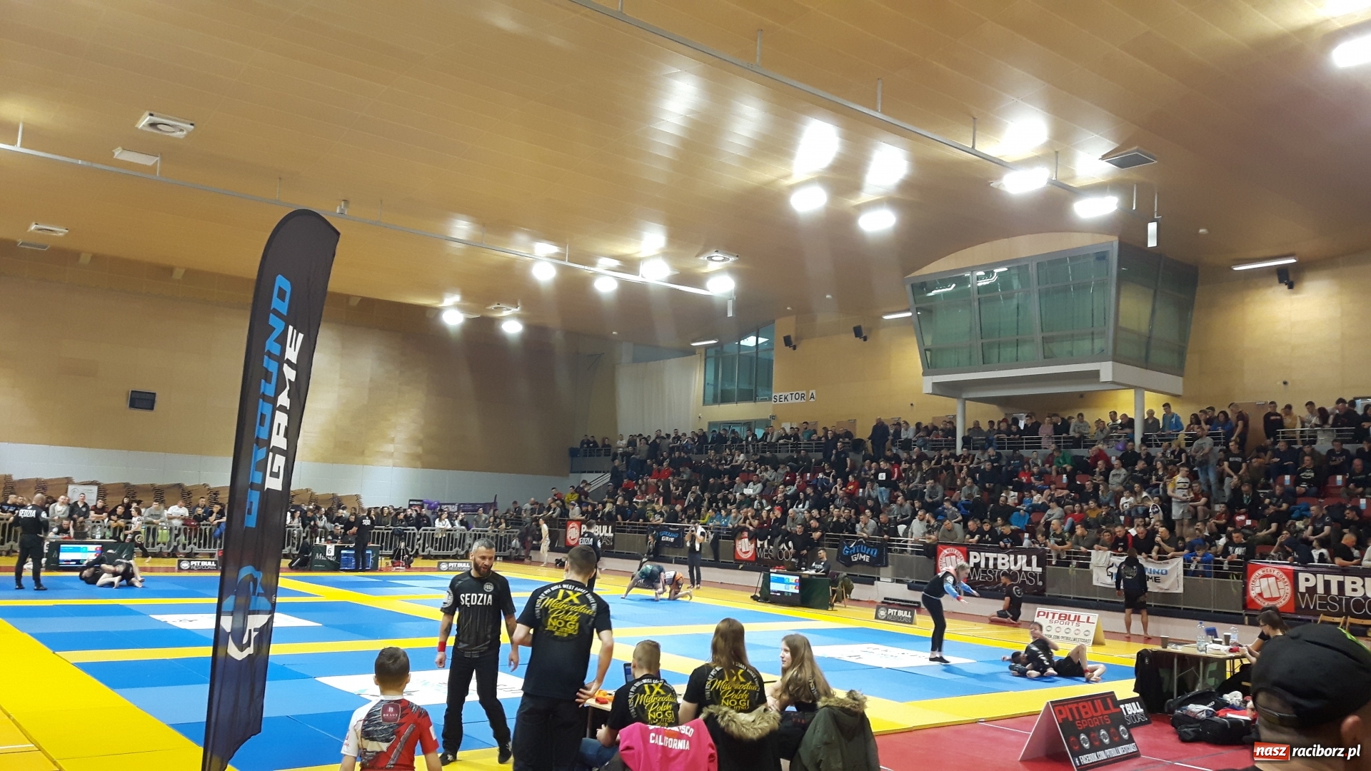 Zdjęcie w galerii na portalu naszraciborz.pl: Zawodnicy kuźniańskiej Sparty na podium Mistrzostw Polski w Brazylijskim Ju-Jitsu wiadomości z regionu