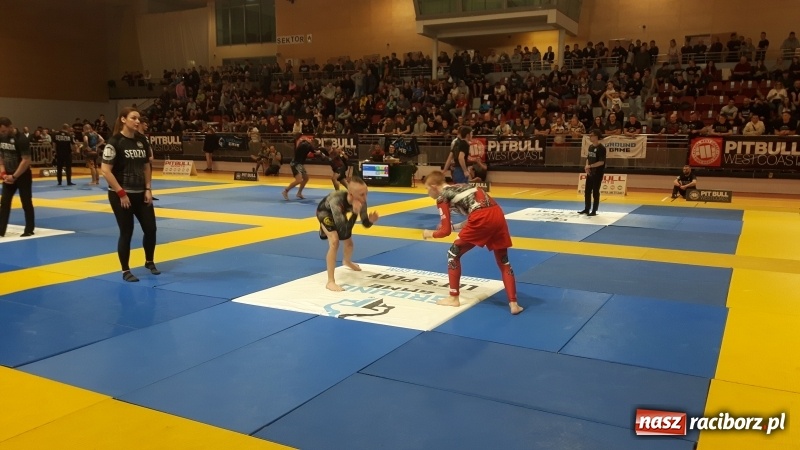 Zdjęcie w galerii na portalu naszraciborz.pl: Zawodnicy kuźniańskiej Sparty na podium Mistrzostw Polski w Brazylijskim Ju-Jitsu wiadomości z regionu