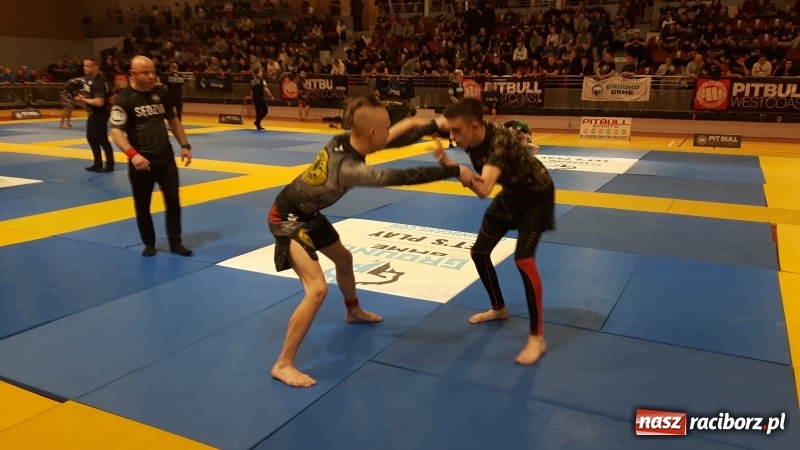 Zdjęcie w galerii na portalu naszraciborz.pl: Zawodnicy kuźniańskiej Sparty na podium Mistrzostw Polski w Brazylijskim Ju-Jitsu wiadomości z regionu