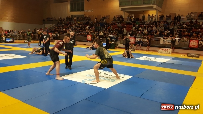 Zdjęcie w galerii na portalu naszraciborz.pl: Zawodnicy kuźniańskiej Sparty na podium Mistrzostw Polski w Brazylijskim Ju-Jitsu wiadomości z regionu