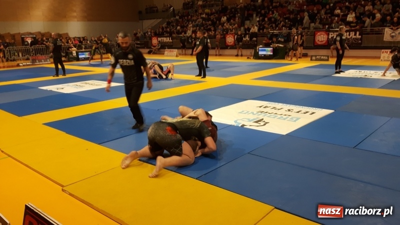 Zdjęcie w galerii na portalu naszraciborz.pl: Zawodnicy kuźniańskiej Sparty na podium Mistrzostw Polski w Brazylijskim Ju-Jitsu wiadomości z regionu