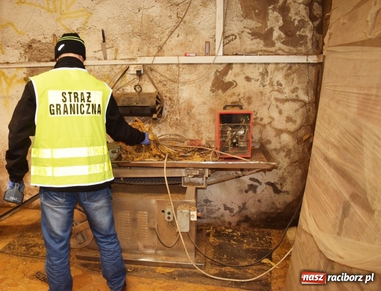 Zdjęcie w galerii na portalu naszraciborz.pl: Pogranicznicy przejęli ponad dwie tony krajanki tytoniowej wiadomości z regionu