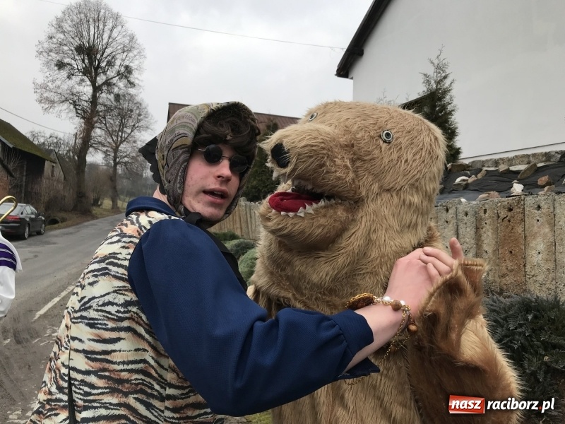 Zdjęcie w galerii na portalu naszraciborz.pl: W parafii Sławików wodzili bera i żegnali karnawał FOTO i WIDEO wiadomości z regionu