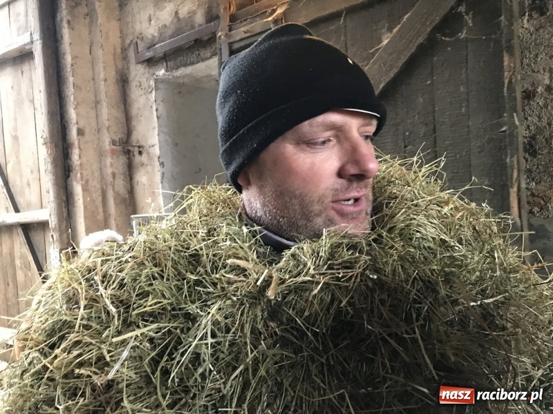 Zdjęcie w galerii na portalu naszraciborz.pl: Młoda para, małpice, misie i kominiarz. Samborowicki tanzbär na koniec karnawału  wiadomości z regionu