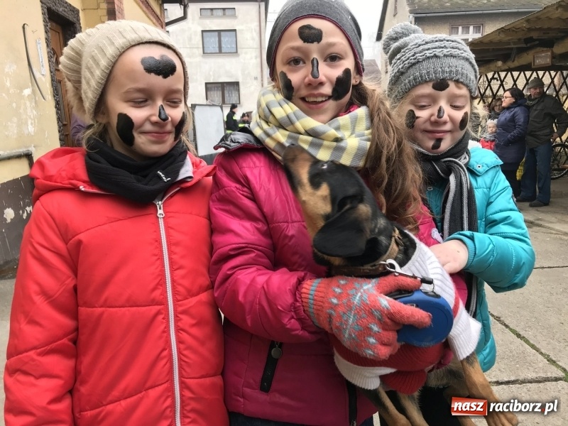 Zdjęcie w galerii na portalu naszraciborz.pl: Młoda para, małpice, misie i kominiarz. Samborowicki tanzbär na koniec karnawału  wiadomości z regionu
